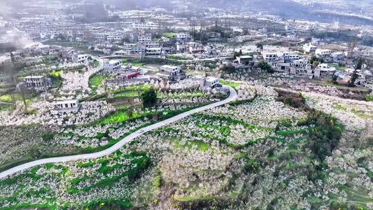 人生南北多歧路，君向潇湘我向秦，治愈风景