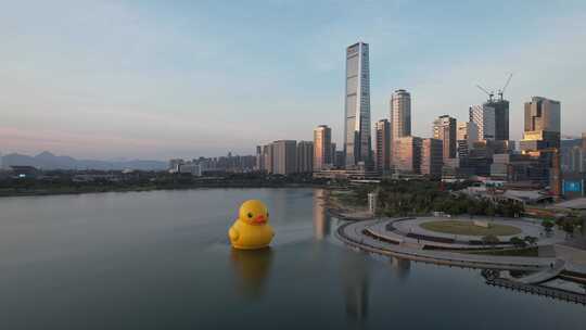 深圳湾大黄鸭