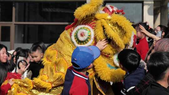 新年活动舞狮表演庆祝新年