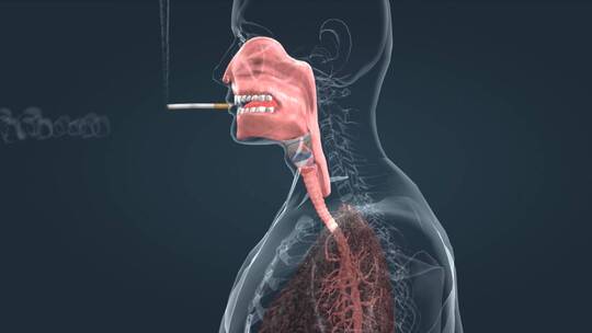 人体吸烟肺部病变过程对人体危害3D动画