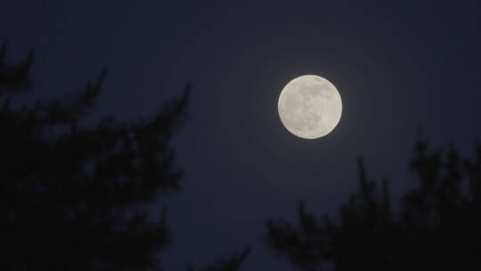 月亮升起 诗意月亮