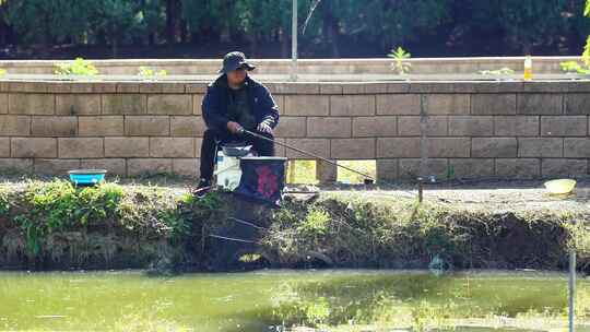 河边钓鱼垂钓