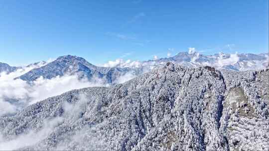 成都西岭雪山冬天高处的云海雾松航拍合集