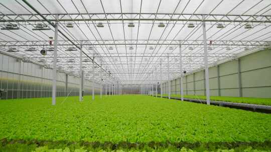 农业温室科技种植乡村振兴大棚自动化喷灌