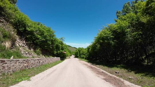 开车视角 白天 行驶在公路上