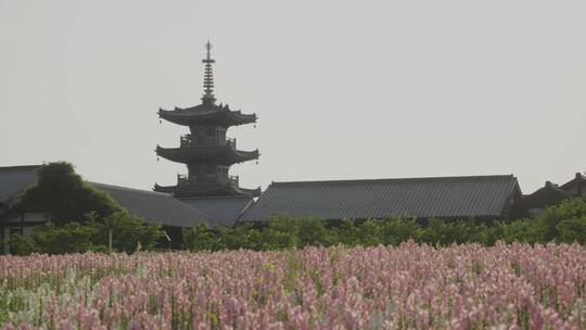 花海与拈花塔中焦2