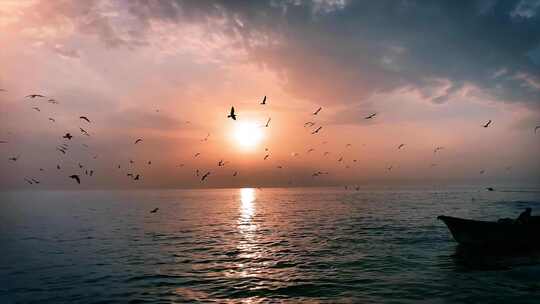 4K-夕阳背景下海面上盘旋的鸟群