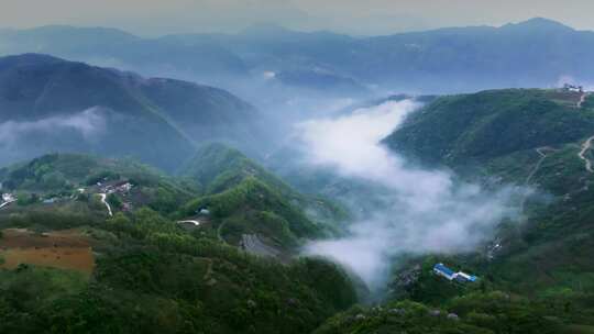 陕西秦岭镇安县海棠山