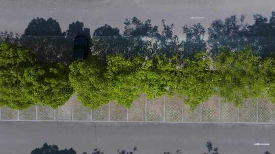 夏天树影道路停车场空镜