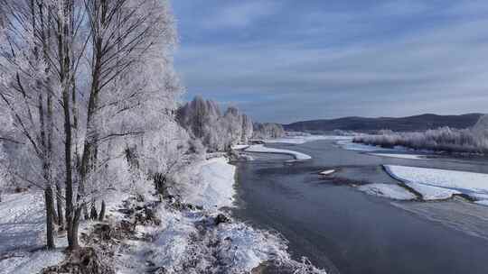 雪柳冰雪世界雾凇241104 (5)