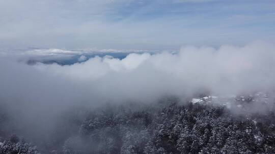 航拍佛教名山四川峨眉山，云海缭绕树林白雪