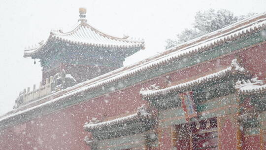 大雪中的故宫博物院内慢镜头景色