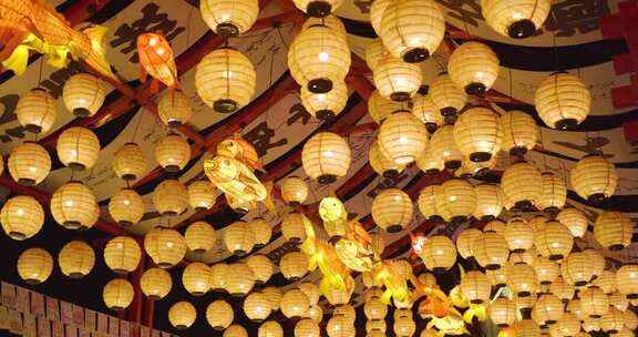 悬挂的灯笼与鱼形花灯