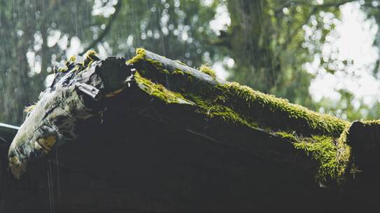 雨天屋檐