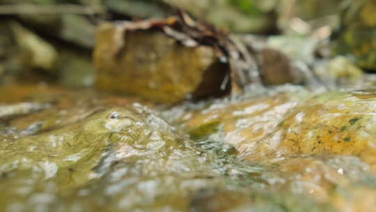 清澈山泉小溪矿泉水山涧