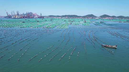 航拍海上网箱养殖区海上粮仓