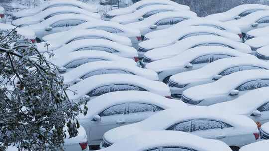大雪覆盖新能源汽车的寒冬