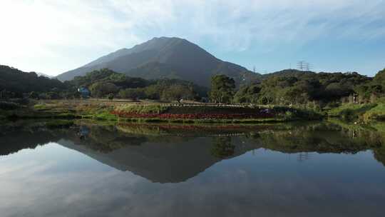 恩上湿地公园