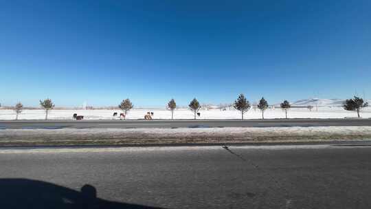 开车行驶在雪后公路 车窗外雪景