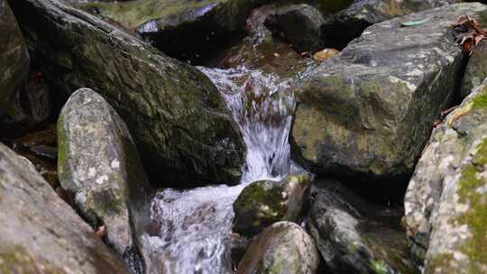 河流慢镜头水流升格山泉水 大自然 清澈溪流