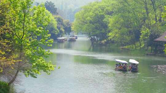 杭州西湖浴鹄湾手划船风景