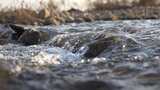 水 河流 小溪 风景 水流 河道 河 风光高清在线视频素材下载