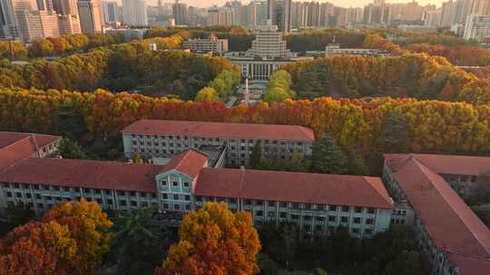 航拍城市落叶秋景西安交通大学