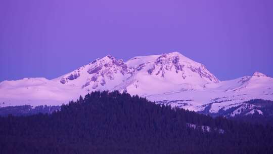 雪山，雪峰，森林，森林