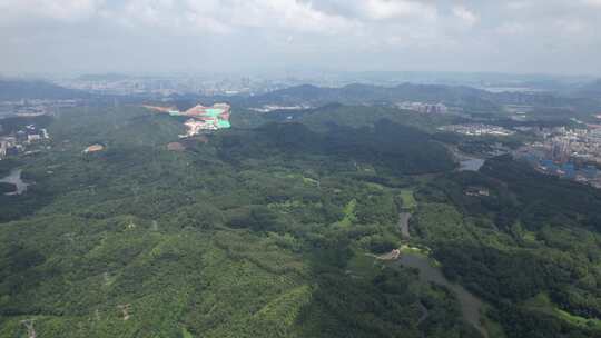 深圳龙华茜坑水库