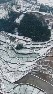 竖版航拍乡村田园农业种植农田雪景