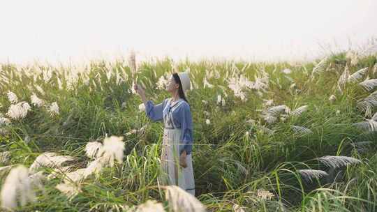 夕阳下芦苇丛中的少女