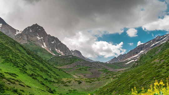 山绿谷景观。美丽的山绿谷全景。山草甸花