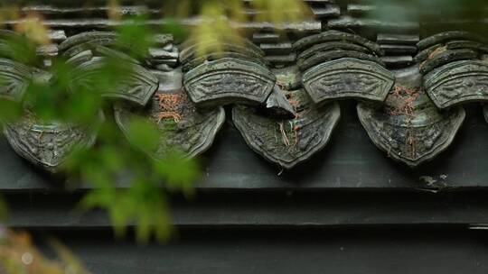 137 杭州 寺庙 古建筑 下雨天 树枝