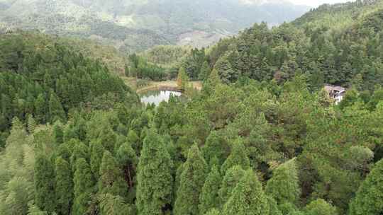 信宜钱排鹿湖顶航拍，高山湖泊，森林大山