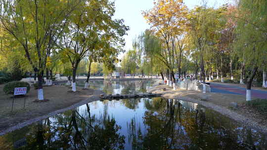 武汉东西湖常青花园中心公园风景