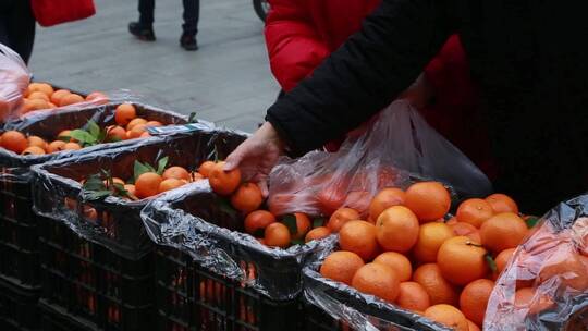 清晨 早市 人文 现金支付 菜市场 买卖视频素材模板下载