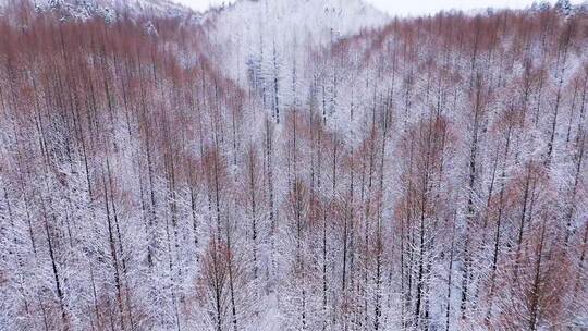 航拍山王坪冬天雪景