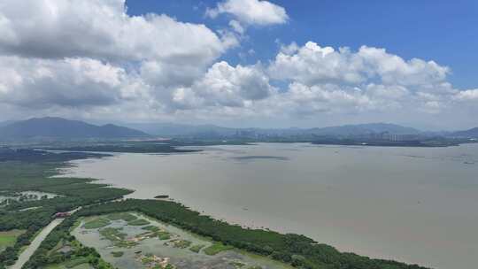 4K深圳福田区红树林