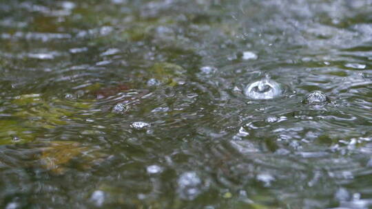 雨水落在水面上的特写