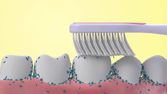 刷牙口腔清洁细菌