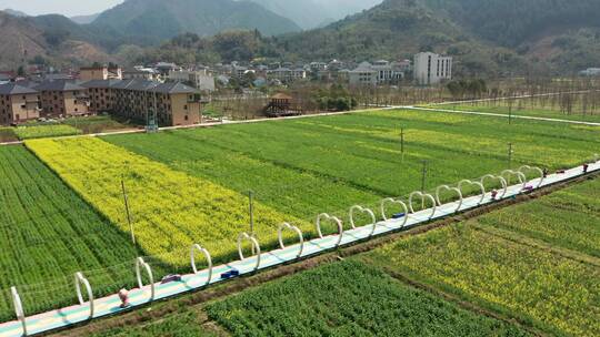 航拍春季桐庐合村乡油菜花海风光