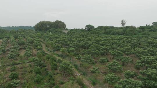 江苏东山乡村航拍