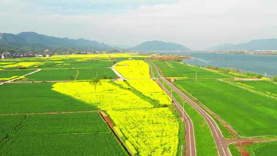 杭州富阳富春江江畔绿道春天风景