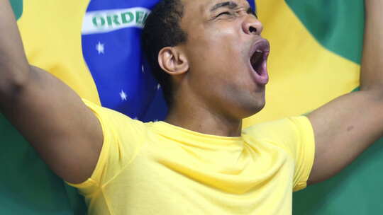 球迷手持巴西国旗庆祝