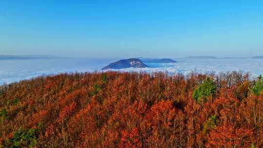 大气航拍巫峡云海红叶