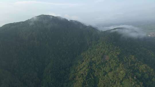 建立了山脉雨林的无人机拍摄。热带丛林的绿