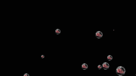 水果红提气泡粒子视频素材带通道