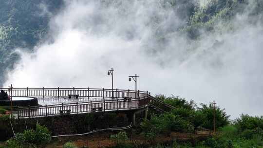 平塘马安竹海航拍