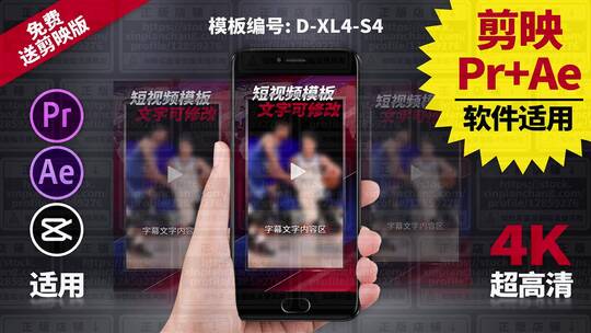 视频包装模板Pr+Ae+抖音剪映 D-XL4-S4AE视频素材教程下载