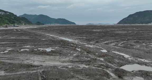 北岐滩涂航拍空镜